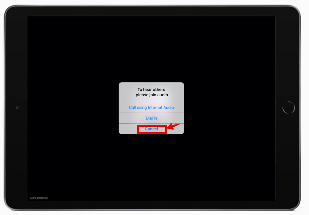 Cancel_Audio_-_Zoom-iPad.jpg