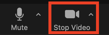 zoome mute_stop video.png