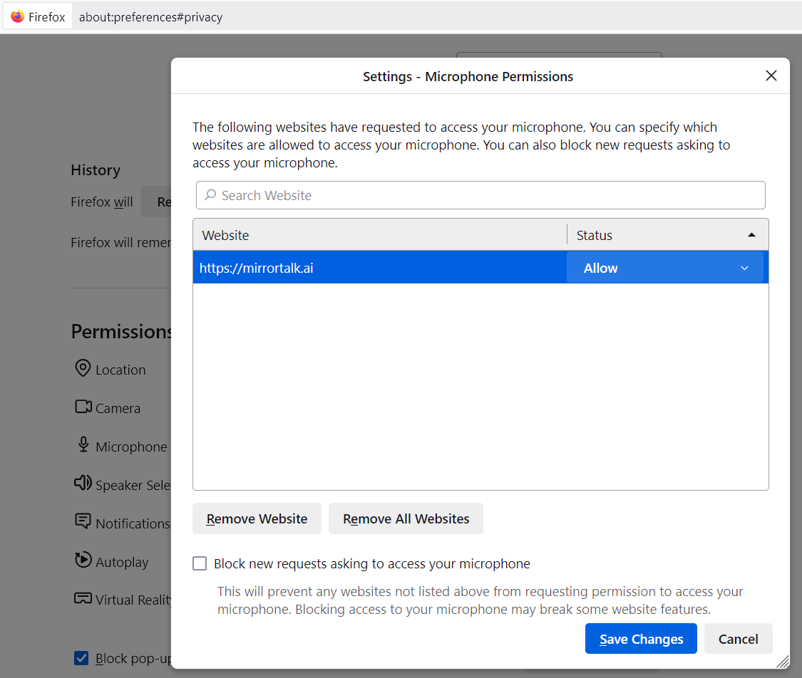 Mozilla settings 4.png