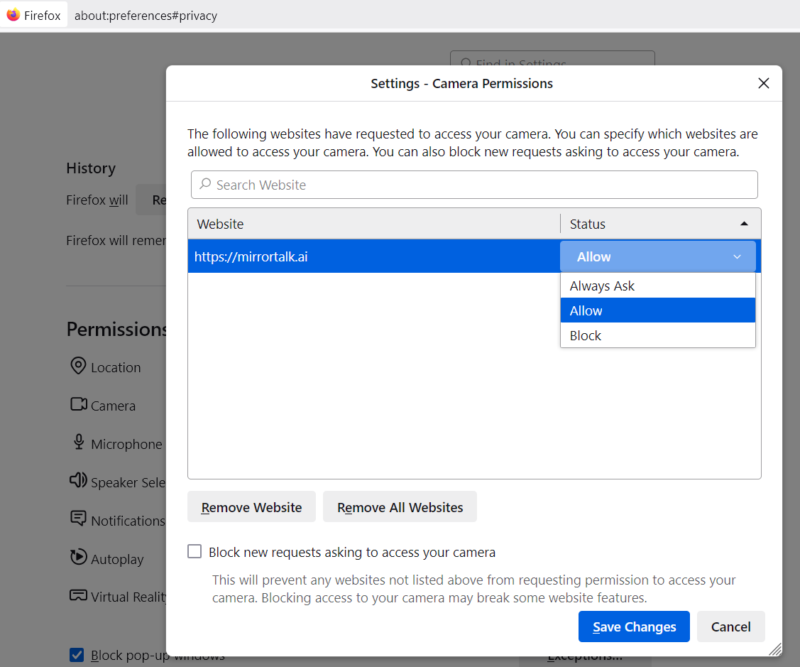 Mozilla Settins 3.png