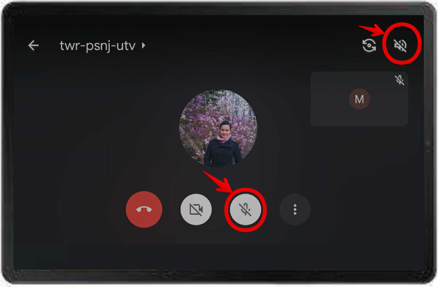 Mute_Audio_-_Google_Meet_-Android.jpeg