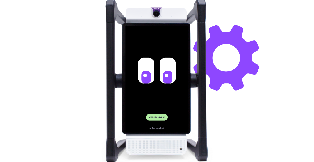 M2 & MirrorTalk: Hardware and IT Resources